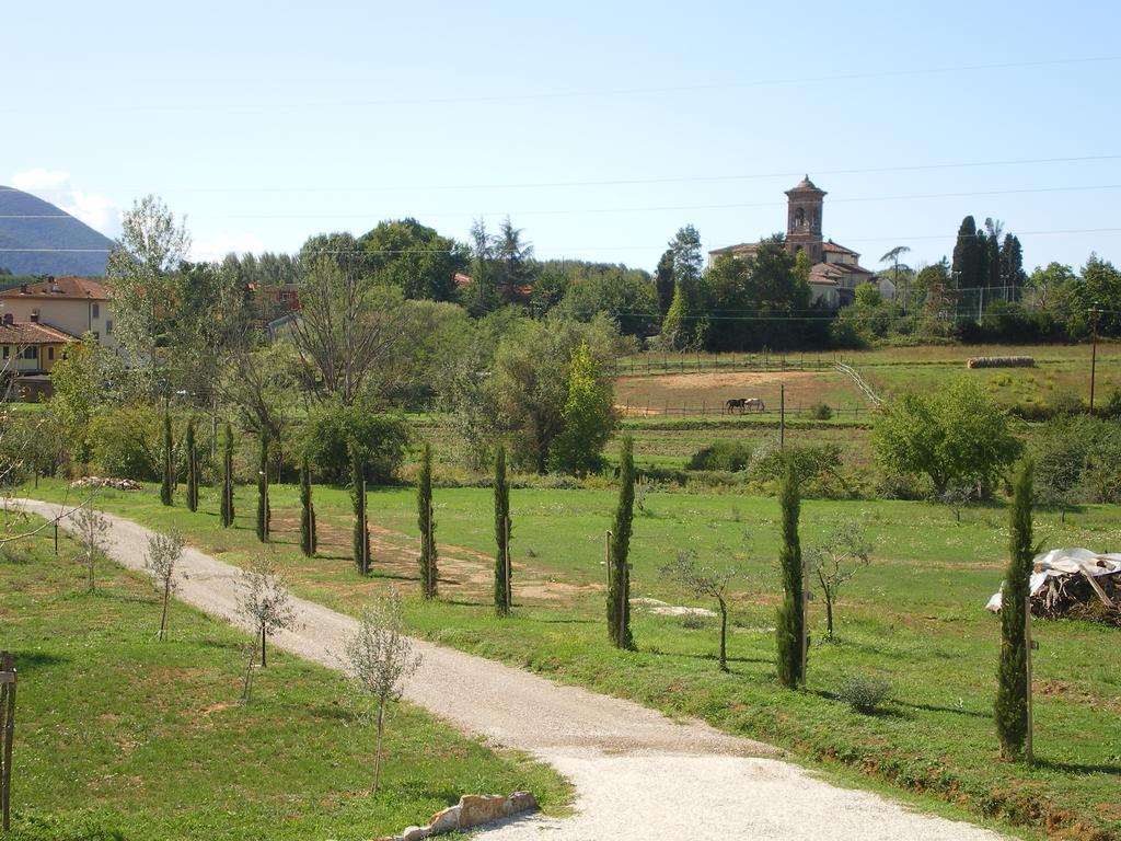 Agriturismo Ai Linchi Lucca Exteriör bild